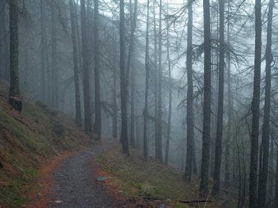 Sleep Tracking App UI Kit thumbnail 2